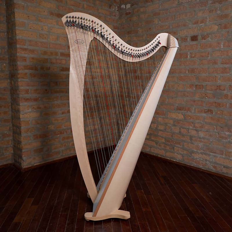 Salvi Gaia Student Lever Harp Natural