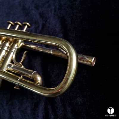 D. Calicchio 1s7 ML Sterling Silver leadpipe trumpet case gamonbrass image 10