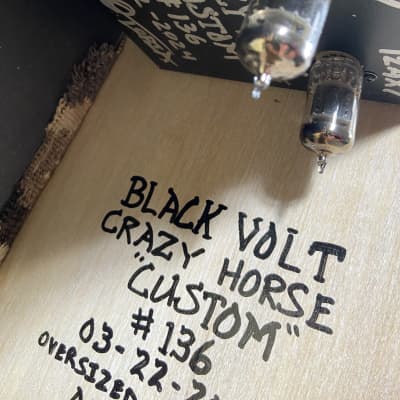 Black Volt 1x12 Crazy Horse Custom "The Palomino" 2024 image 18