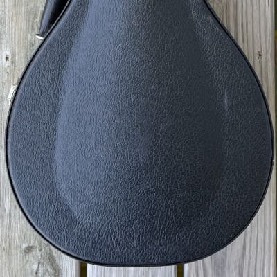 Collings MT Mandola 2013 - Gloss top, satin sides & back image 4