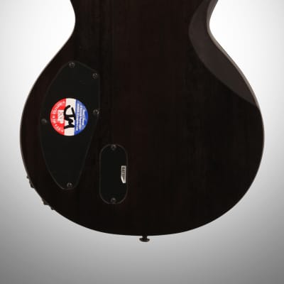 ESP LTD EC-1000 Piezo QM Electric Guitar, See Thru Black image 6