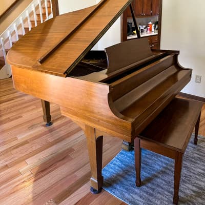 Steinway & Sons M model 5'7'' mahogany grand piano image 2