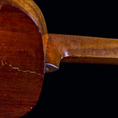 1880-1885 Imperial Guitar Co. Parlor Guitar - The John Church Co. Cincinnati, OH. image 15