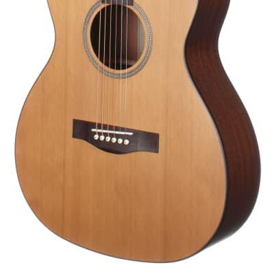 Teton STG105NT Grand Concert Guitar ONLY, Solid Cedar Top, Mahogany Veneer Back and Sides image 5