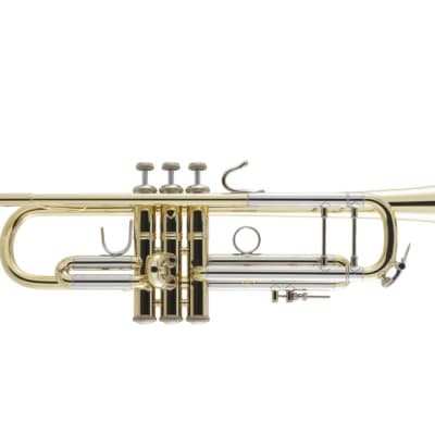 Bach Bach / 180ML37/25 SP [Bb Trumpet] | Reverb Deutschland