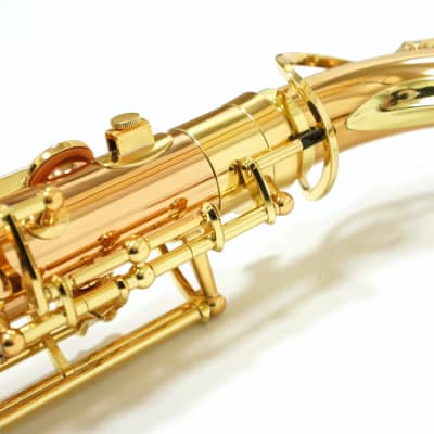 Free shipping! 【Special price】 Yanagisawa T-WO2(TWO2) Bronze Tenor Saxophone image 16