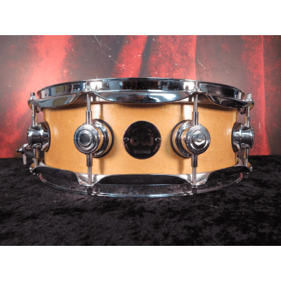 DW Collector's Series Maple 5.5x14" Snare Drum
