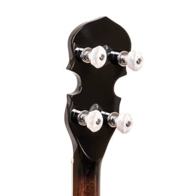Gold Tone BG-150F: Bluegrass Banjo with Flange and Bag image 7
