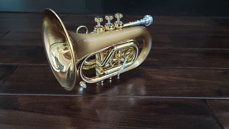 Carol Brass Bb Pocket Trumpet - Style Offered [CPT‐3000‐GLS(D)‐Bb‐L] –  ACCMUSIC STORE