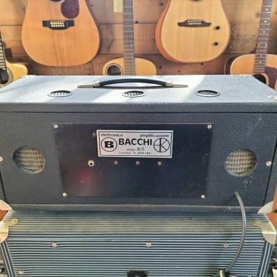 Bacchi Bass Organ Amplifier image 5