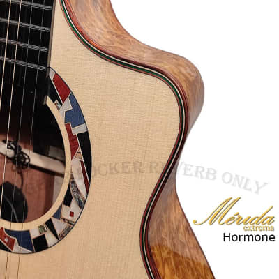 Merida Extrema Hormone all Solid Sitka Spruce & Cypress grand auditorium acoustic electronic guitar image 6