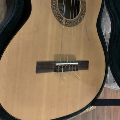 Candelas Guitars Hermanos Delgado classical acoustic guitar with case image 2