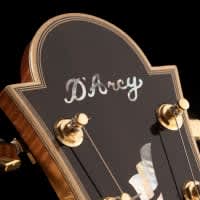 D’Arcy Guitars
