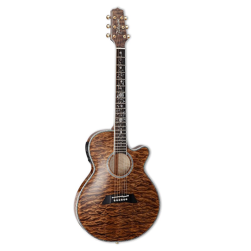 Takamine thin body acoustic guitar top