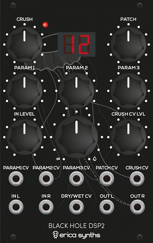Erica Synths Black Hole DSP 2 | Reverb Erica Synths Black Hole DSP 2 | Reverb
