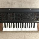 Korg Maxi-Korg 800 DV / Excellent condition/ Pro-serviced/ Future-proofed