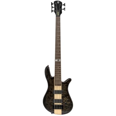 Spector Dan Briggs Signature 5 Strings Bass Guitar Black Stain Gloss for sale