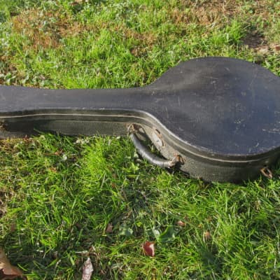 Vega Professional Banjo, 1924, Vegaphone Tone Ring, 19 Frets, Resonator, Case image 21