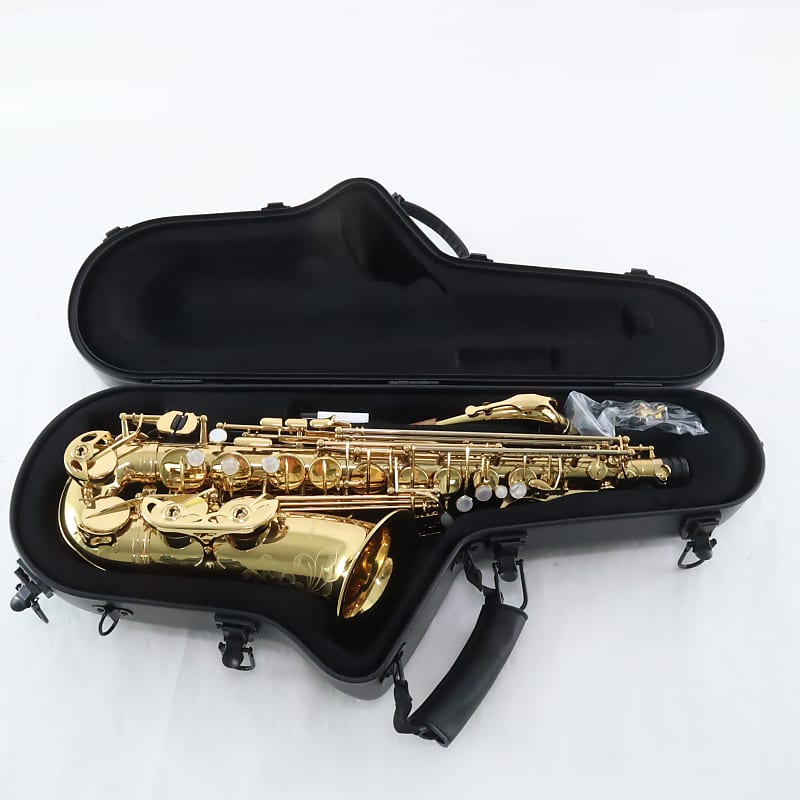 Eastman Model EAS850 Professional Alto Saxophone 'Rue Saint-Georges' GORGEOUS image 1