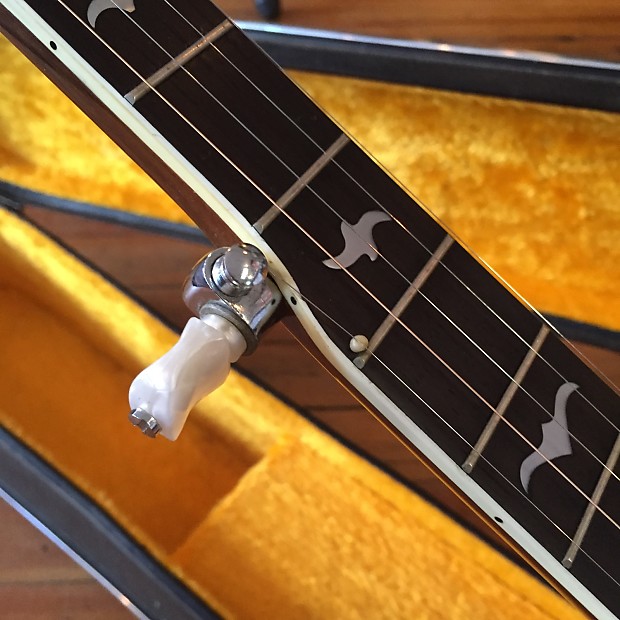 Banjo 5th on sale string pip