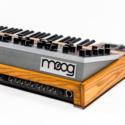 Moog Music The One 16 Voice - Available Now! image 2