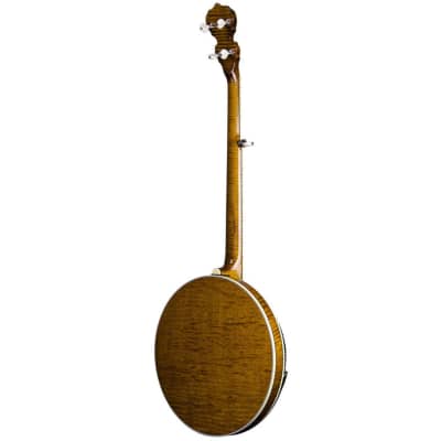 Deering Calico 5 String Banjo image 2