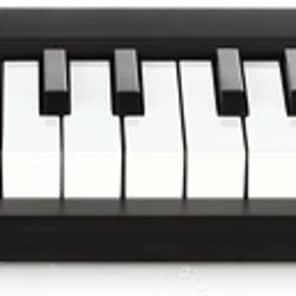 Korg microKEY-37 37-key Keyboard Controller image 4