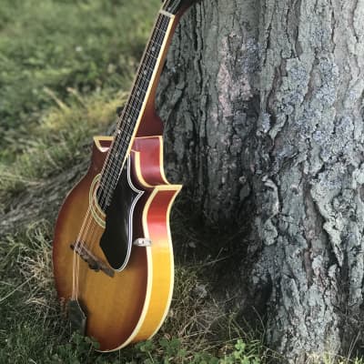 Immagine Gibson A5 Florentine  1964 Cherry Sunburst - 1