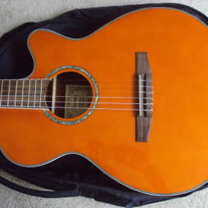 Ibanez AEG10NE Nylon String Cutaway Acoustic-Electric Guitar image 4