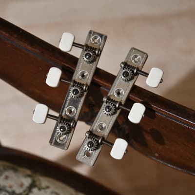 Types of online tuning pegs