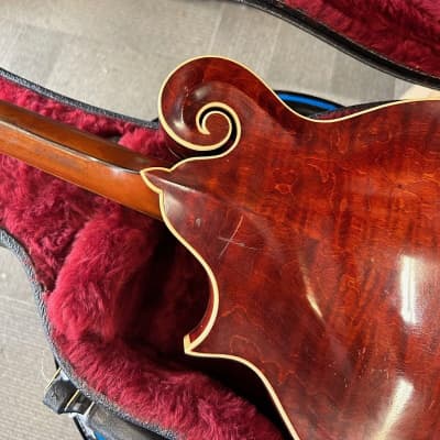 Gibson F4 1911 - Natural F-4 Mandolin Vintage image 10