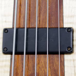 2007 USA Made Eshenbaugh Custom 5-String Electric Bass Guitar image 9