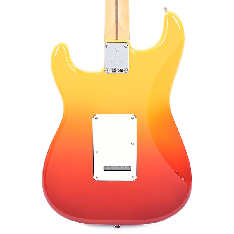 Fender Player Plus Stratocaster image 4