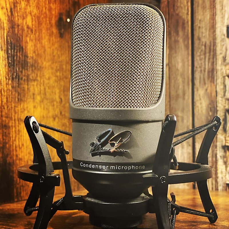 Zp microphones Corti plus suitcase and spider Reverb