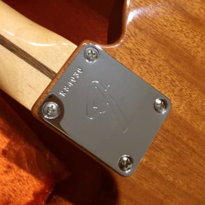 Fender Custom Shop 68 Thinline Masterbuilt 2016 Natural image 8