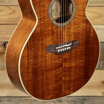 Takamine NEX Legacy EF508KC Acoustic/Electric Guitar Natural w/ Case image 1