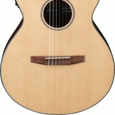Ibanez AEG50N NT Acoustic Guitar for sale