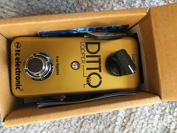 TC Electronic Ditto Looper Gold Gold | Reverb