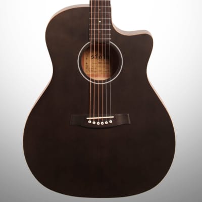Schecter Deluxe Acoustic Guitar, Satin See Thru Black for sale