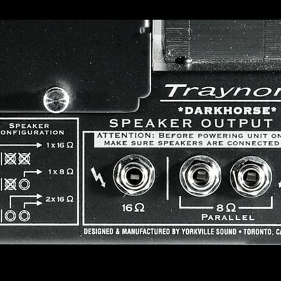 Traynor DH15H | All-Tube 15-Watt Guitar Head. New, with Full Warranty! image 5