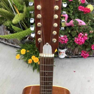 Vintage Bruno Ventura Matsumoku Japanese Made Model 5260 12 String Jumbo Acoustic Dreadnaught Guitar image 3