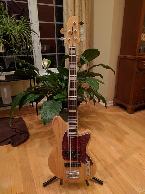 Ibanez tmb605 sales