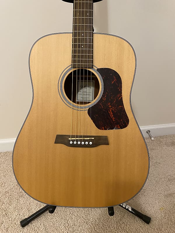 Walden D550E 2022 Natural | Reverb