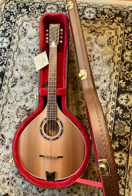 Carvalho MOC308 octave mandolin/cedar/pickup with case Reverb