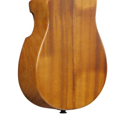 Ibanez AUC10E-OPN Concert Ukulele Open Pore Natural incl. Gigbag - NEW image 2