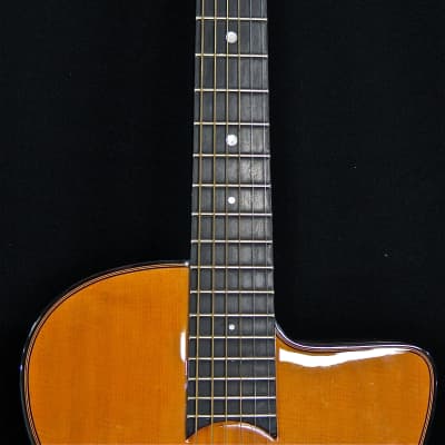 Gitane DG-250 Gypsy Jazz Guitar image 3