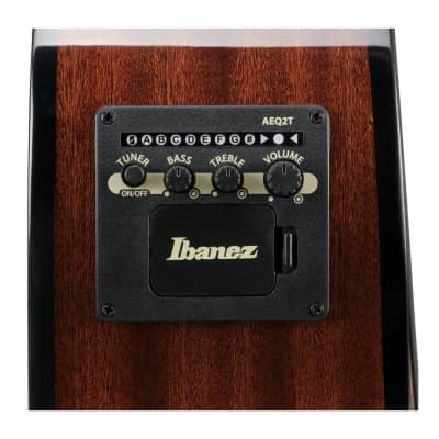 Ibanez AEGB25E 4-String Right-Handed Electric Bass Guitar with Nyatoh and Maple Neck and Walnut Fingerboard (Transparent Black Burst High Gloss) image 5