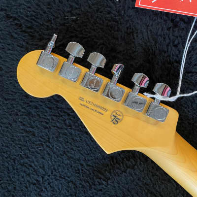 Fender American Professional II Stratocaster RW Miami Blue 7lbs, 12oz US210050022 image 6