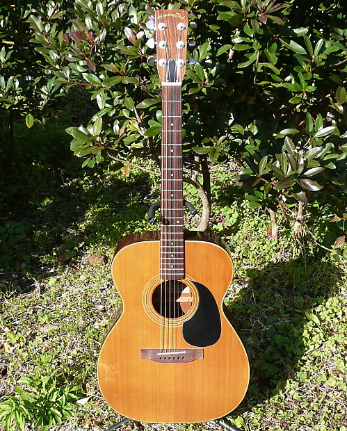 最旬トレンドパンツ OOO F100 Bird Humming Tokai size Reverb | Natural 1970's ギター