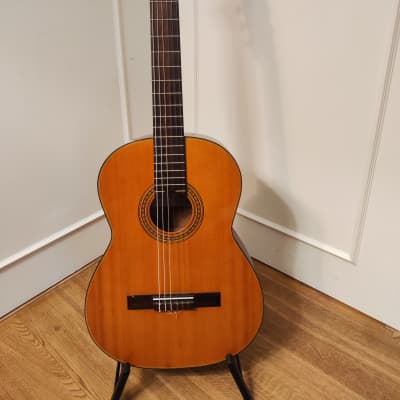 ARIA / RETRO CLASSICS ギター 新品未使用 7 【公式通販】